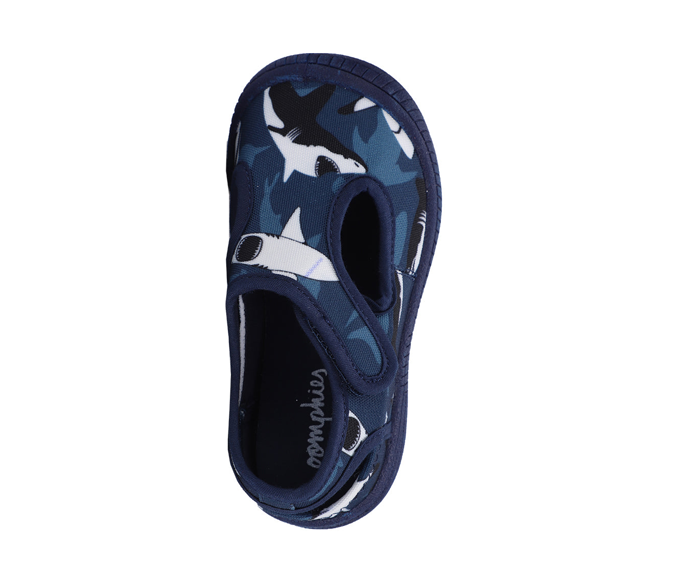 Carters dinosaur best sale water shoes